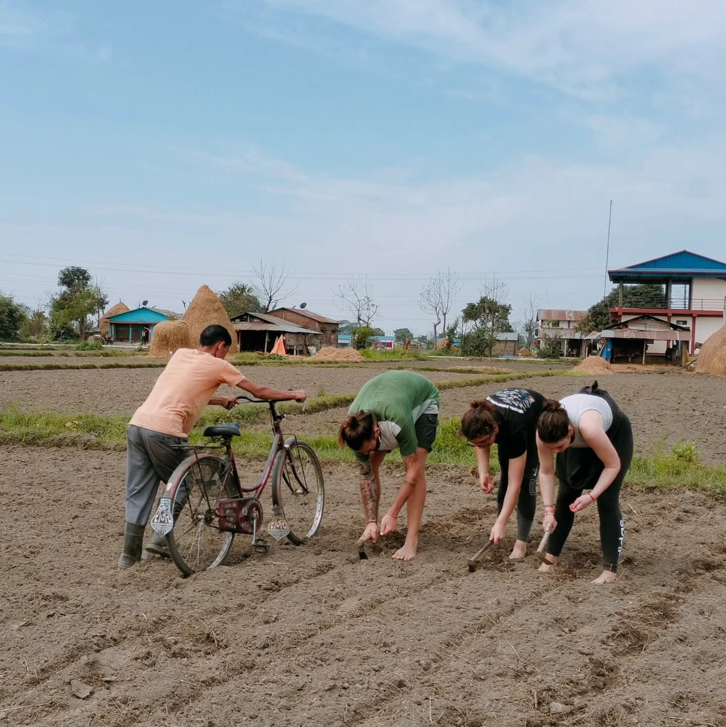 Organic Farming