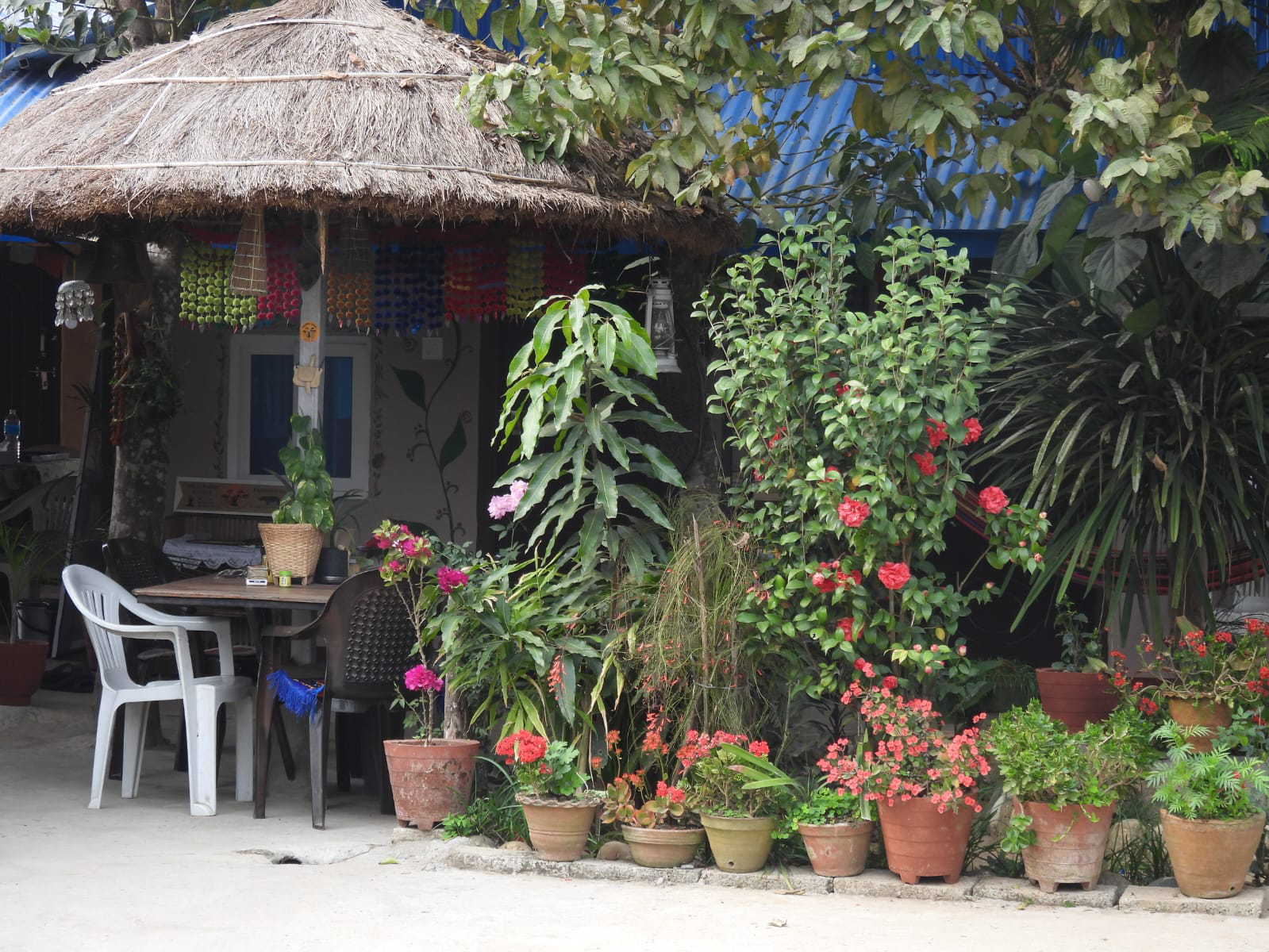 Homestay