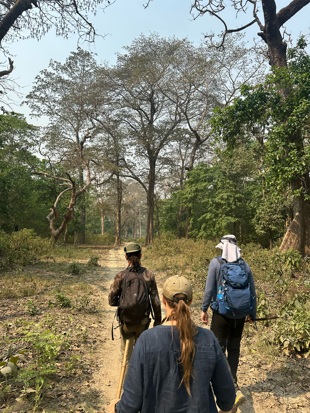 Walks Without a Map 
