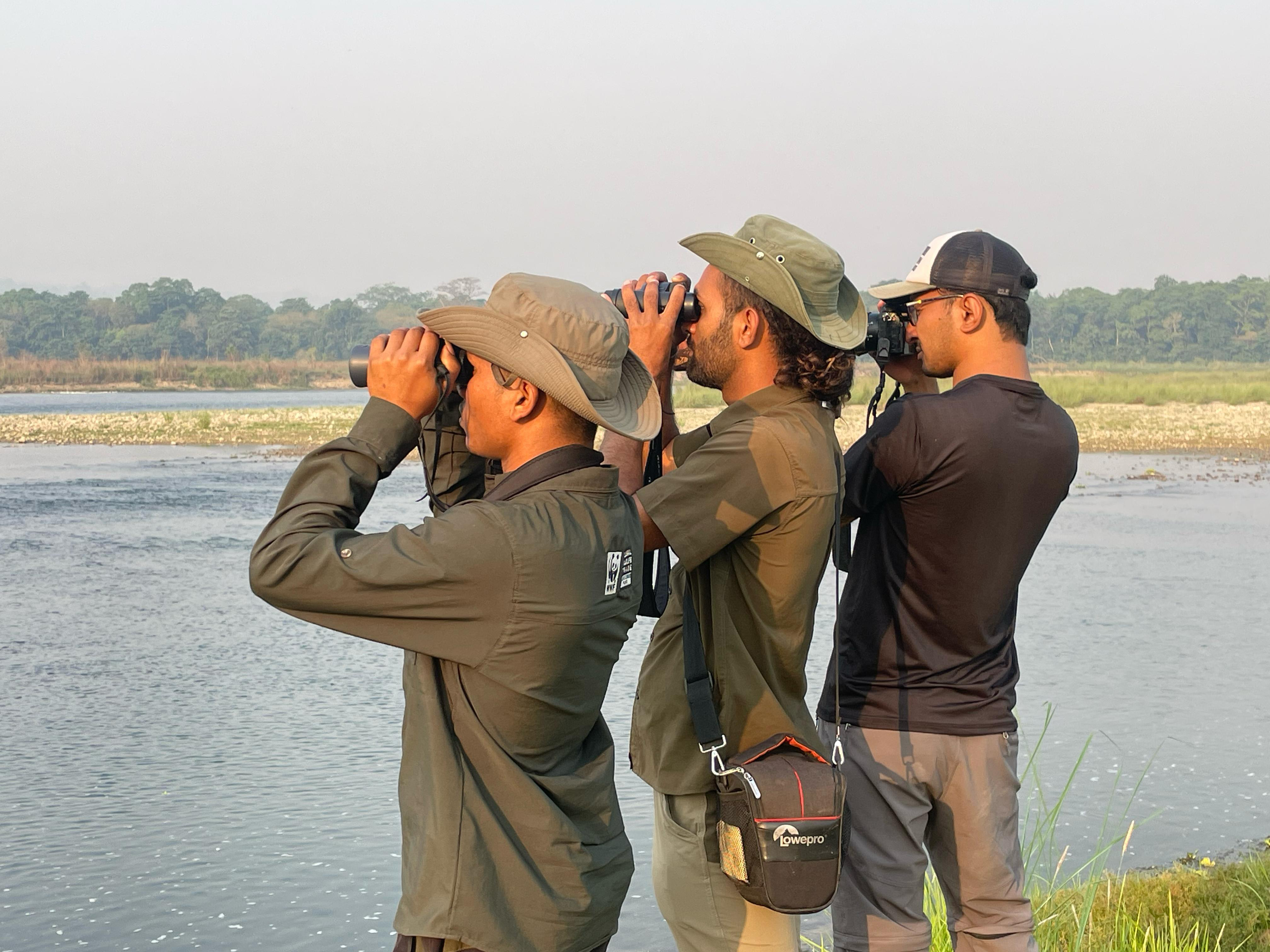 Bird Watching