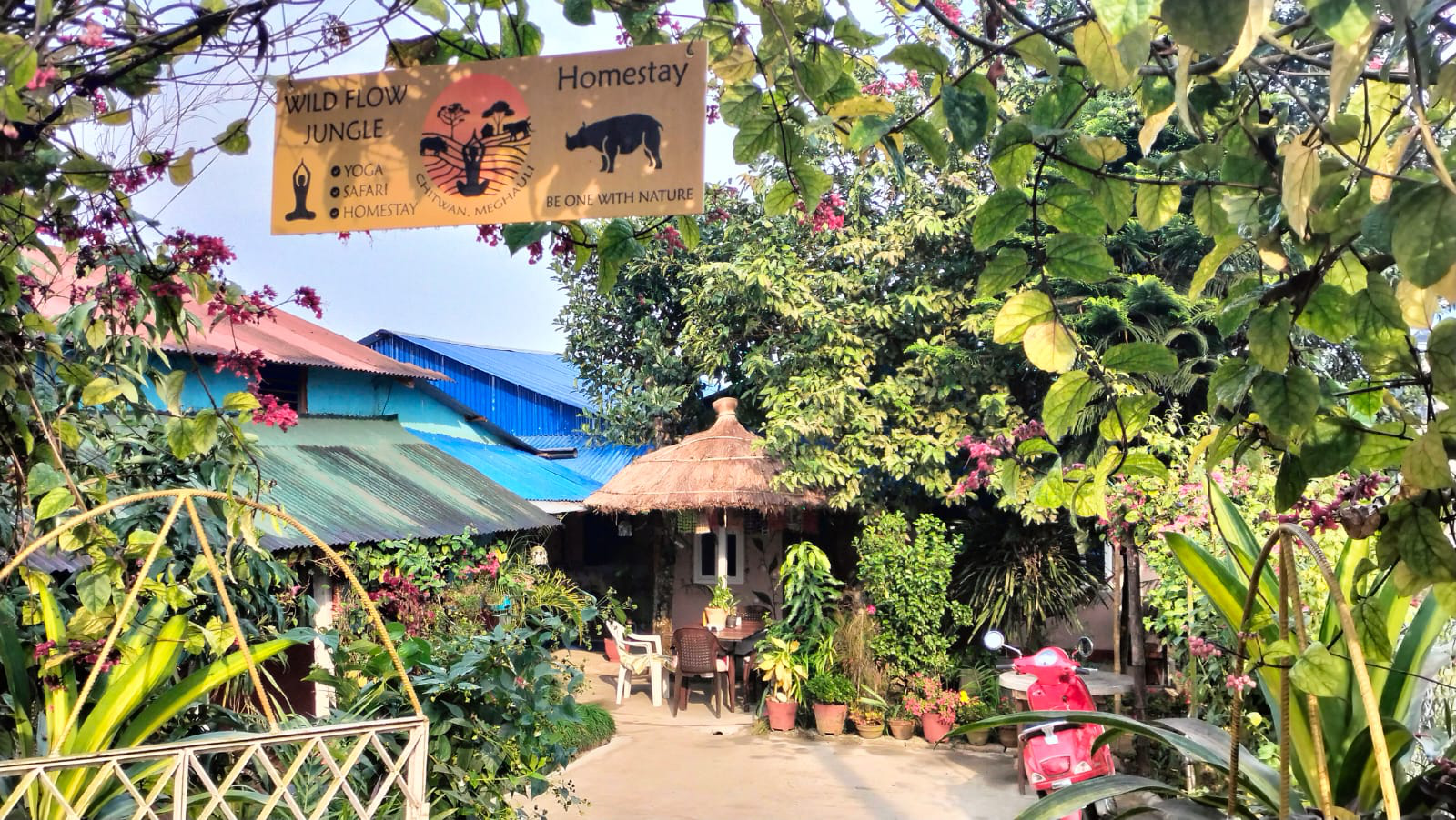 Wildflow Homestay Background